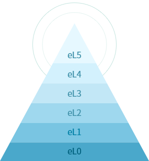 執(zhí)行執(zhí)行